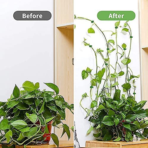 Leaf-Shaped Plant Climbing Wall Fixture Clips