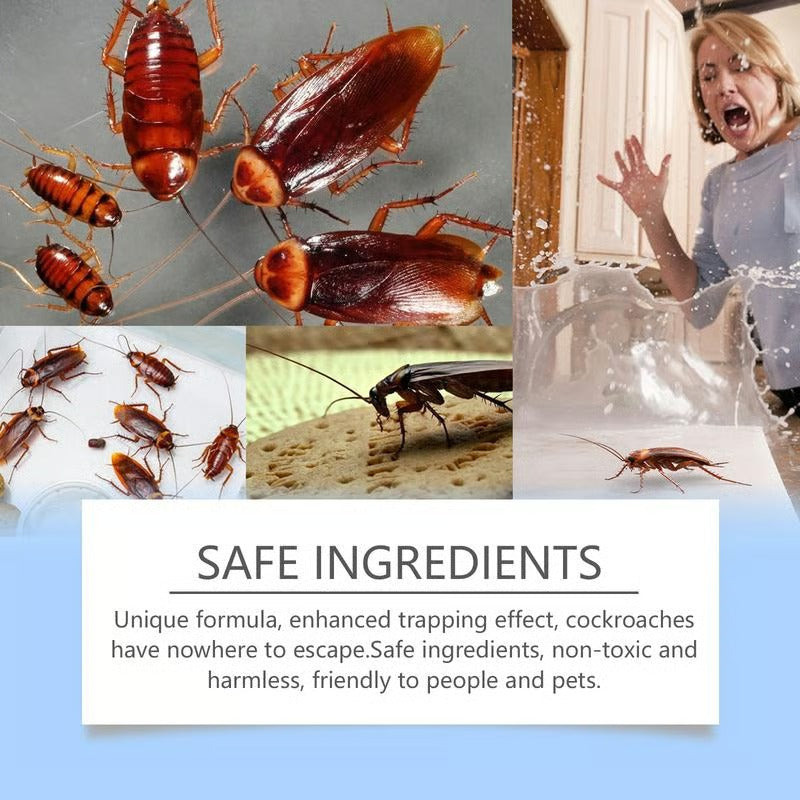 Cockroach bait paste Household